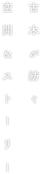 古木が紡ぐ空間&ストーリー